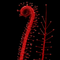 Drosera filiformis var. tracyi 'Red'