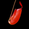 Nepenthes Bloody Mary (ventricosa and ampullaria)